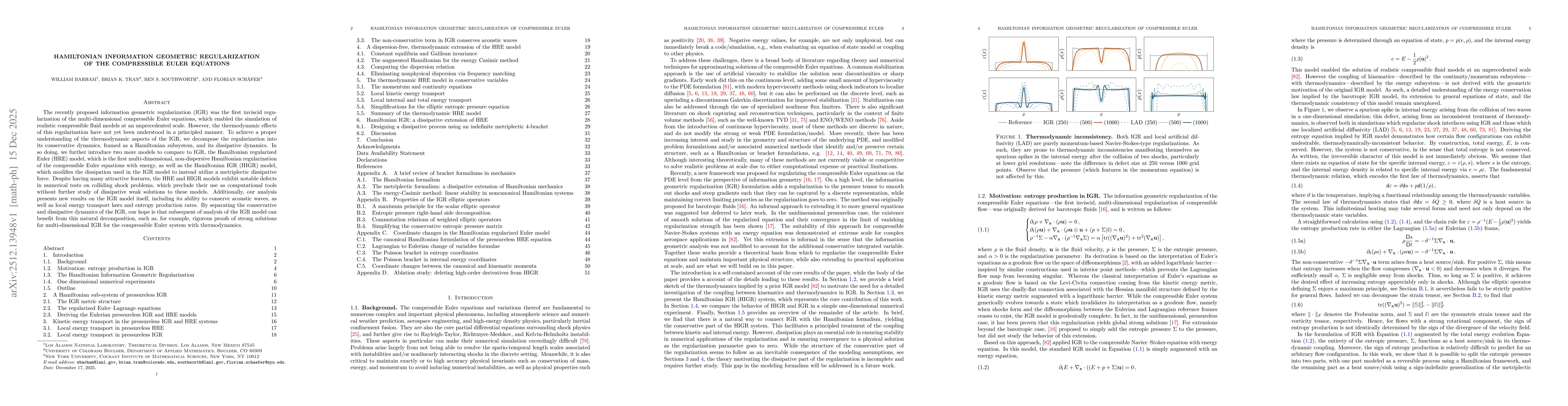 Thumbnail for Hamiltonian Information Geometric Regularization of the Compressible Euler Equations