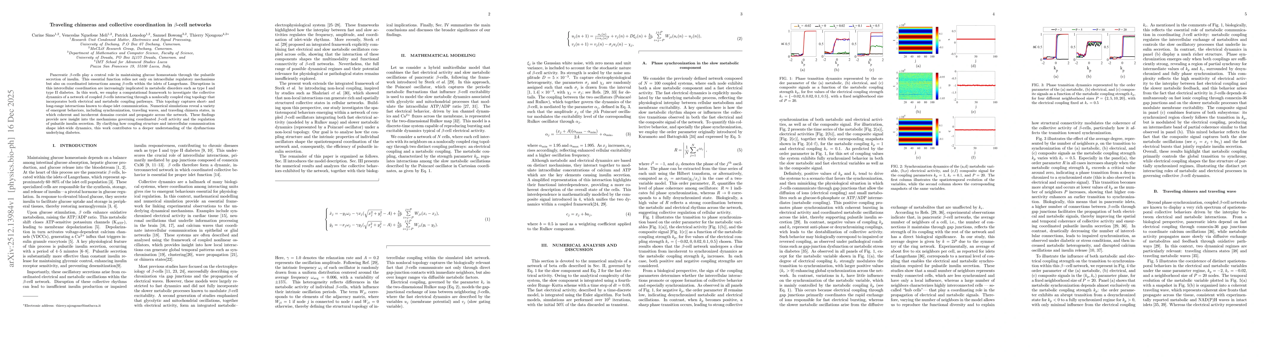 Thumbnail for Traveling chimeras and collective coordination in beta-cell networks