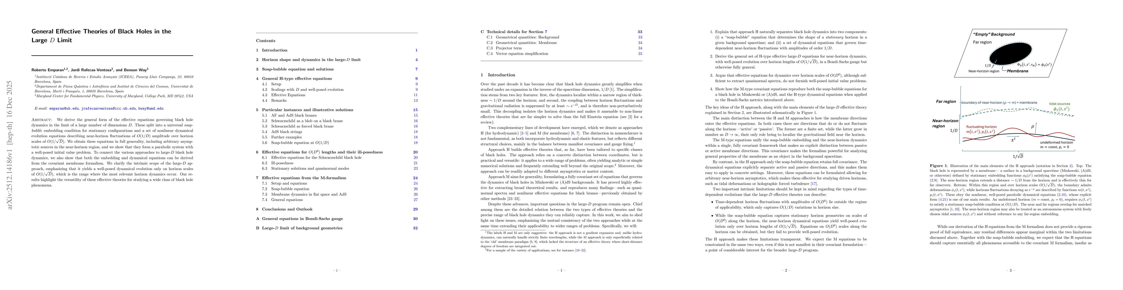 Thumbnail for General Effective Theories of Black Holes in the Large D Limit