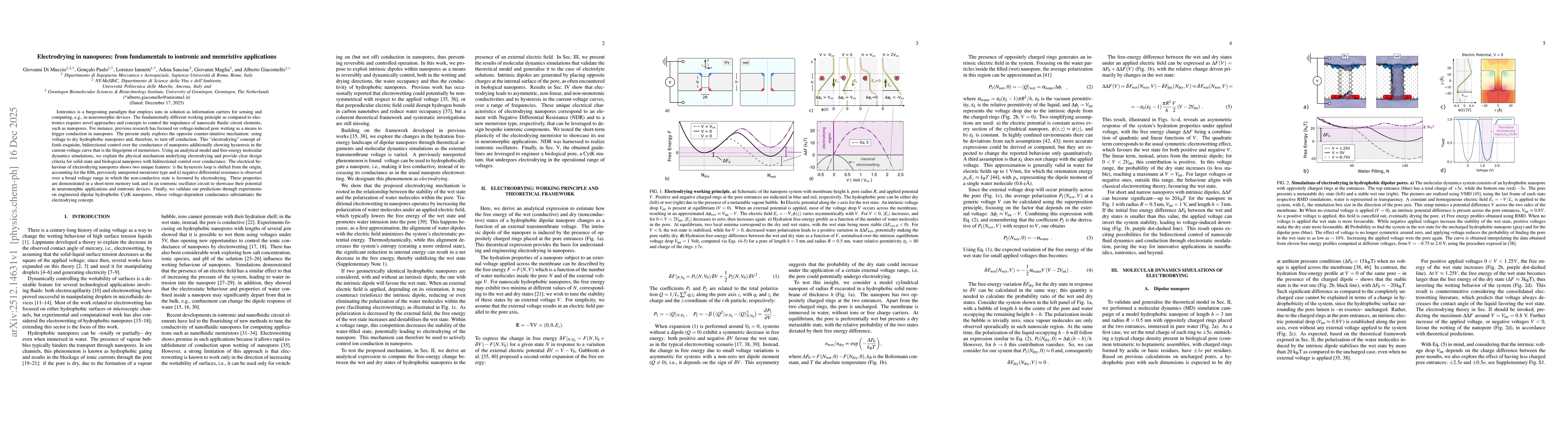Thumbnail for Electrodrying in nanopores: from fundamentals to iontronic and memristive applications