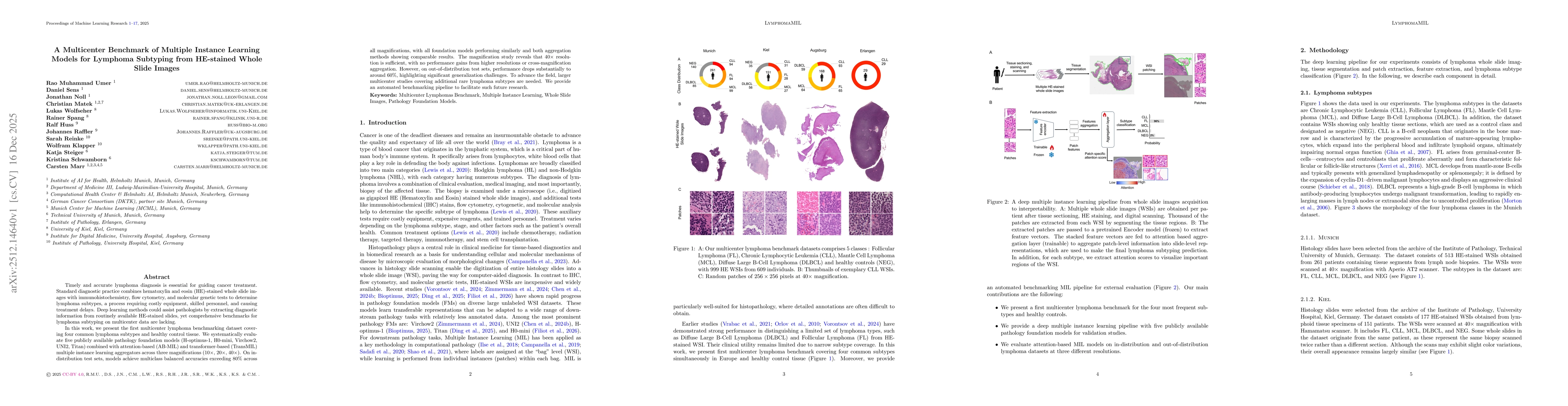 Thumbnail for A Multicenter Benchmark of Multiple Instance Learning Models for Lymphoma Subtyping from HE-stained Whole Slide Images