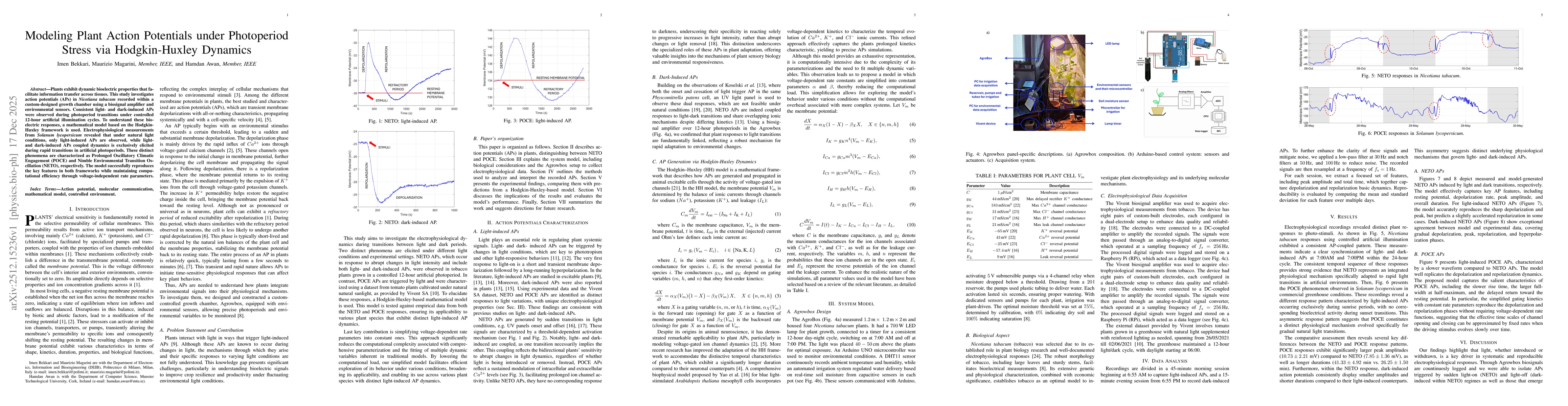 Thumbnail for Modeling Plant Action Potentials under Photoperiod Stress via Hodgkin-Huxley Dynamics