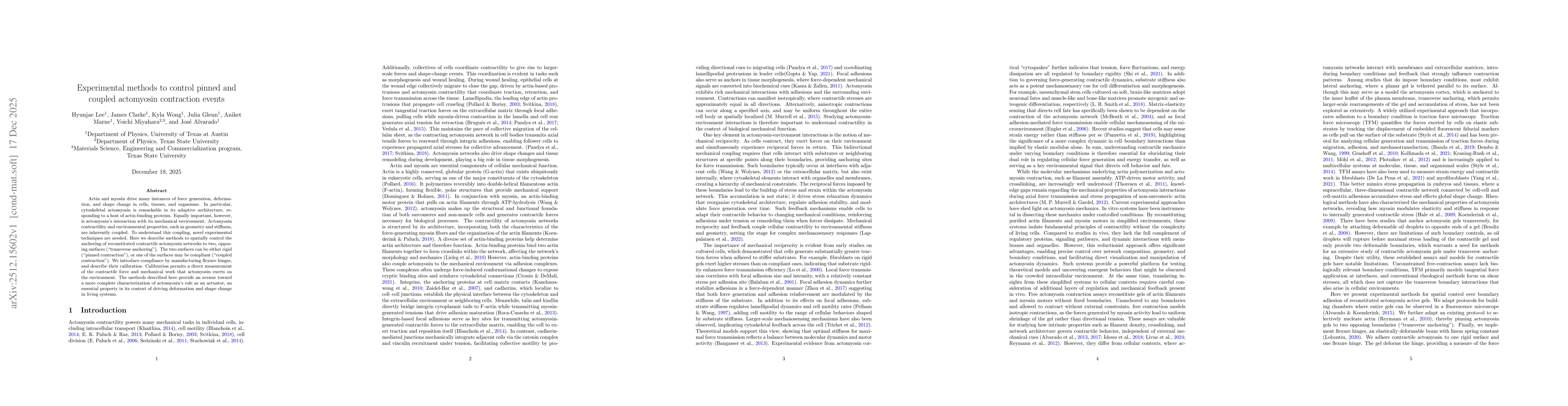 Thumbnail for Experimental methods to control pinned and coupled actomyosin contraction events