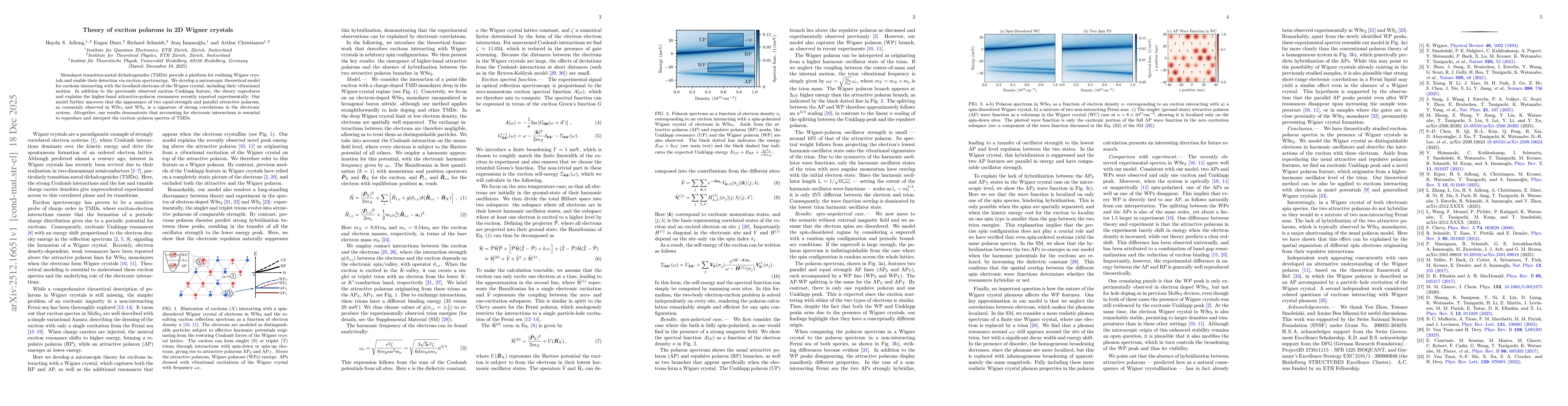 Thumbnail for Theory of exciton polarons in 2D Wigner crystals