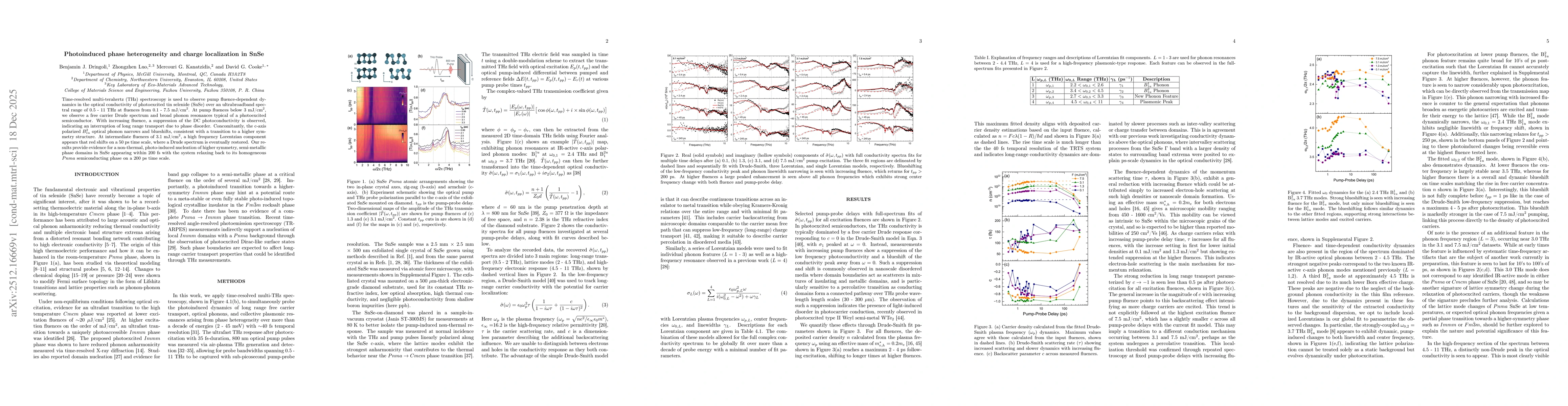 Thumbnail for Photoinduced phase heterogeneity and charge localization in SnSe