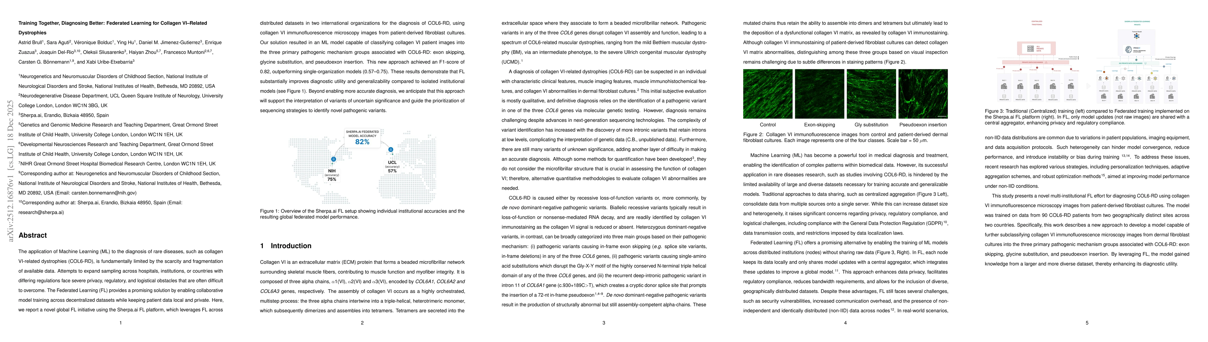 Thumbnail for Training Together, Diagnosing Better: Federated Learning for Collagen VI-Related Dystrophies