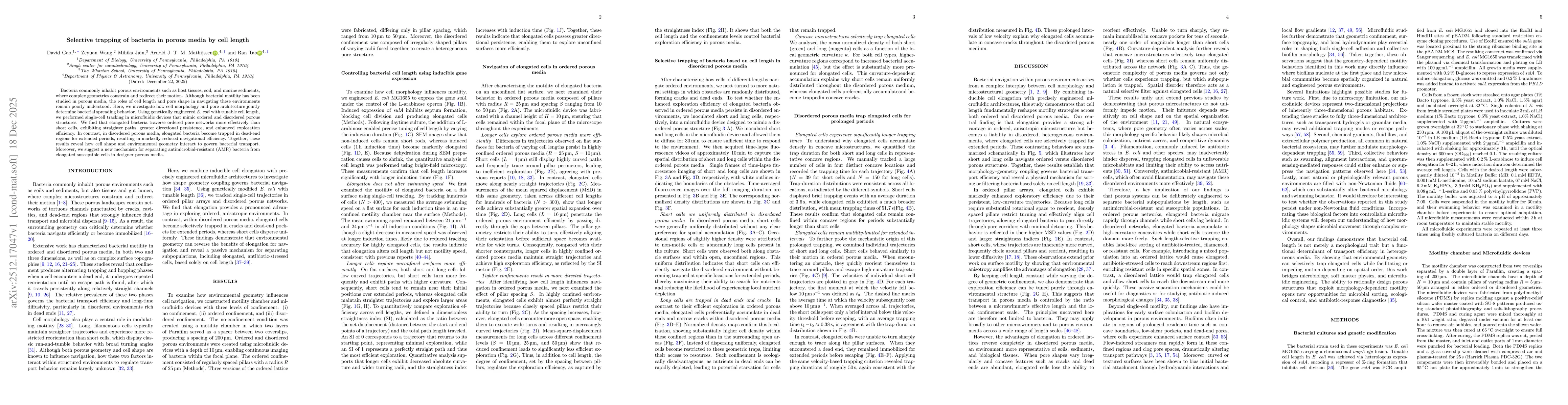 Thumbnail for Selective trapping of bacteria in porous media by cell length
