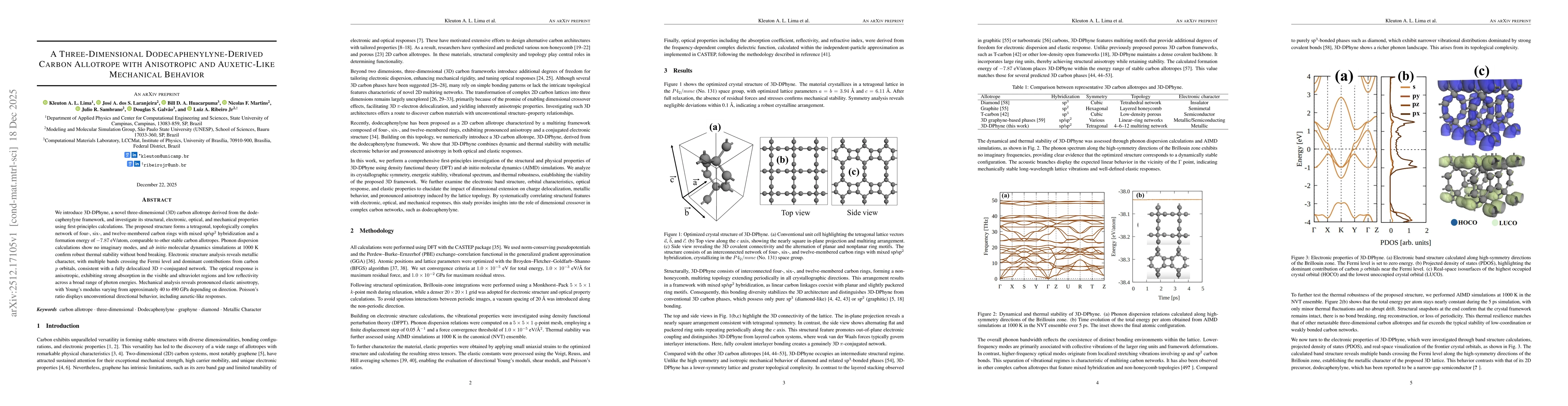 Thumbnail for A Three-Dimensional Dodecaphenylyne-Derived Carbon Allotrope with Anisotropic and Auxetic-Like Mechanical Behavior