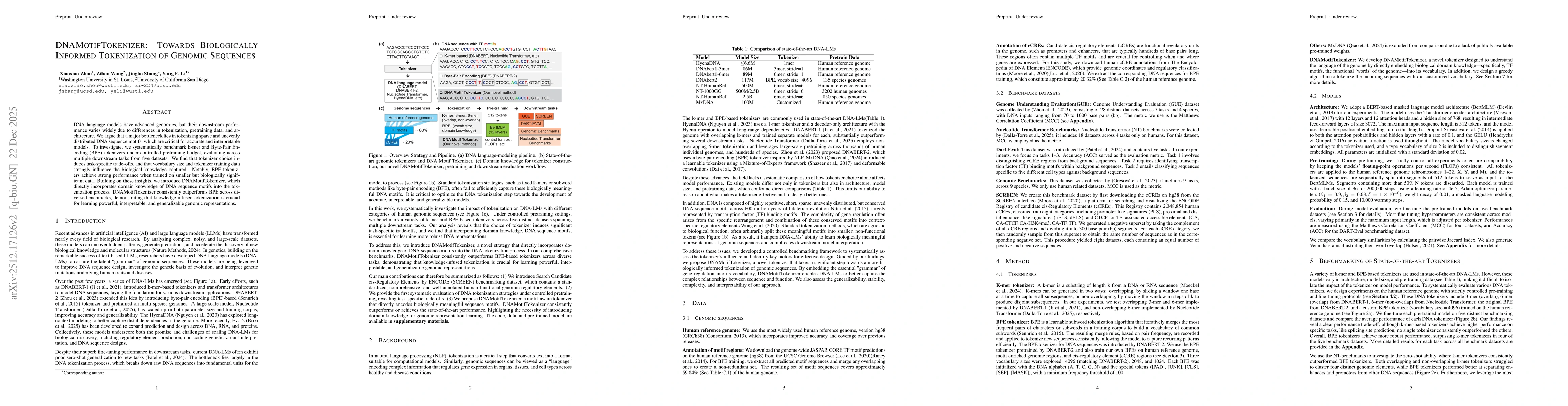 Thumbnail for DNAMotifTokenizer: Towards Biologically Informed Tokenization of Genomic Sequences