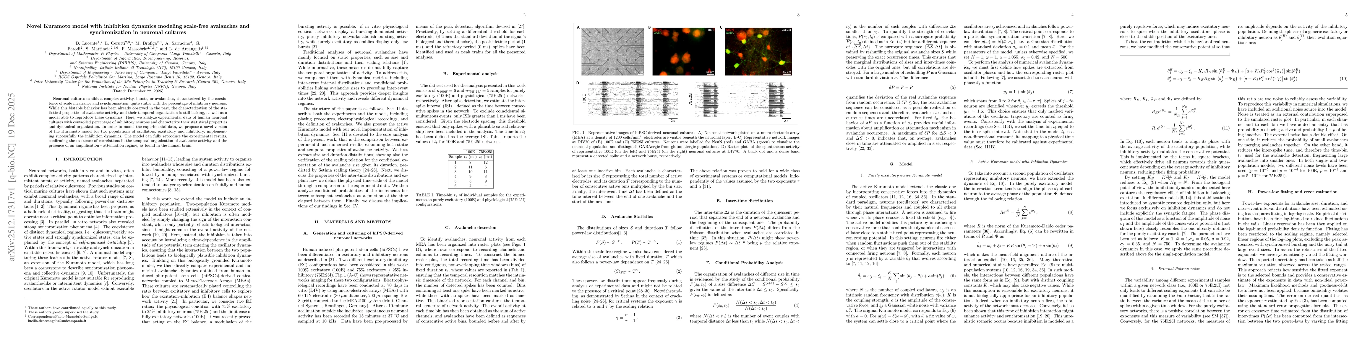 Thumbnail for Novel Kuramoto model with inhibition dynamics modeling scale-free avalanches and synchronization in neuronal cultures