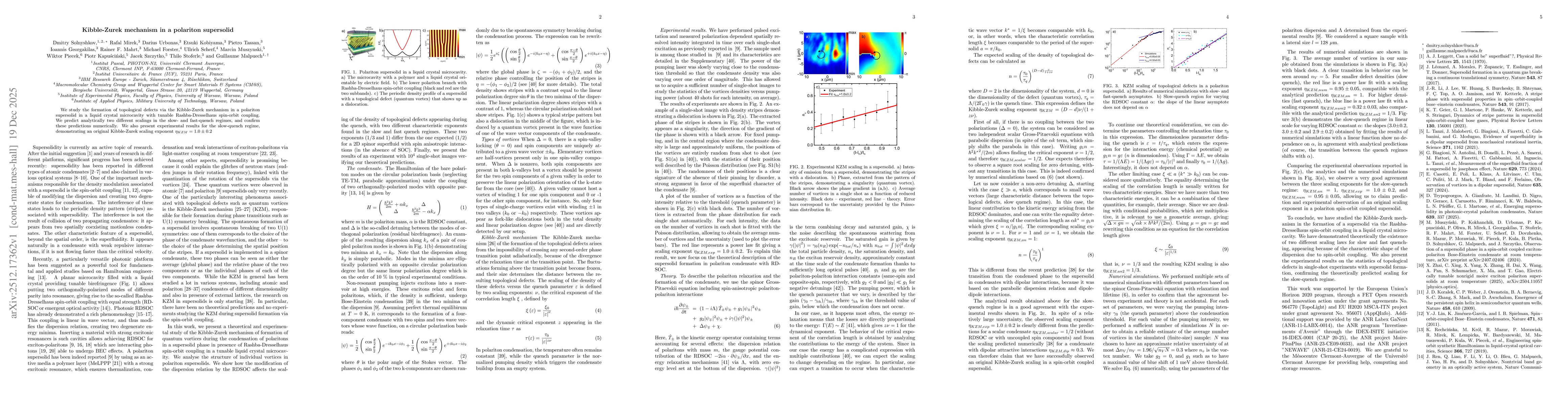 Thumbnail for Kibble-Zurek mechanism in a polariton supersolid