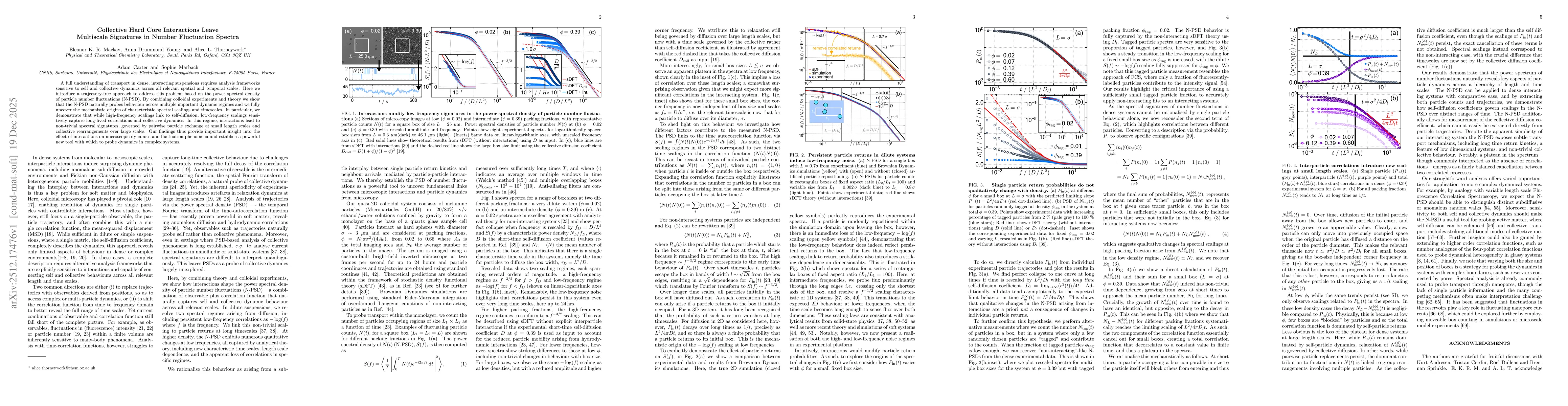 Thumbnail for Collective Hard Core Interactions Leave Multiscale Signatures in Number Fluctuation Spectra