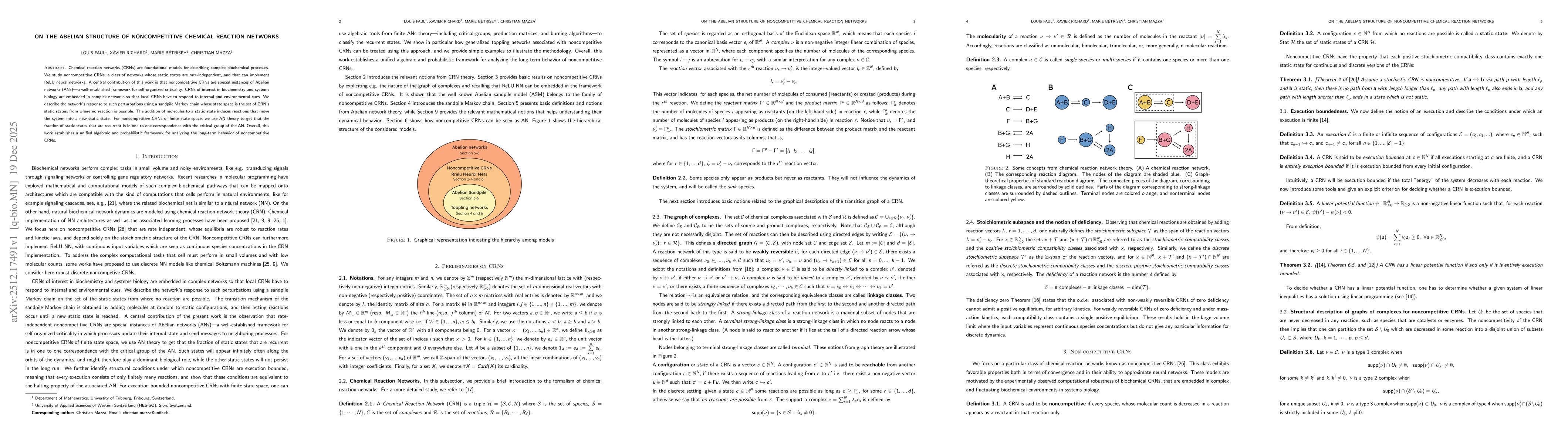 Thumbnail for On the abelian structure of noncompetitive chemical reaction networks