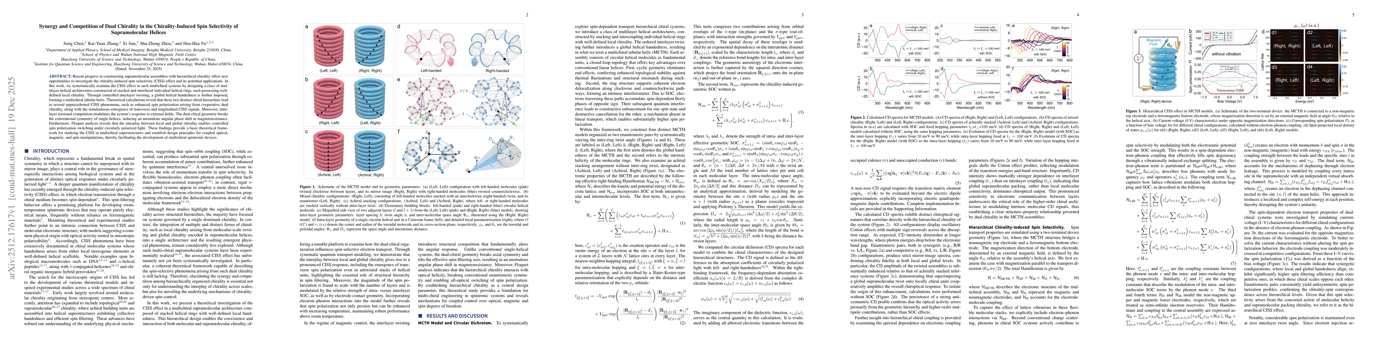 Thumbnail for Synergy and Competition of Dual Chirality in the Chirality-Induced Spin Selectivity of Supramolecular Helices