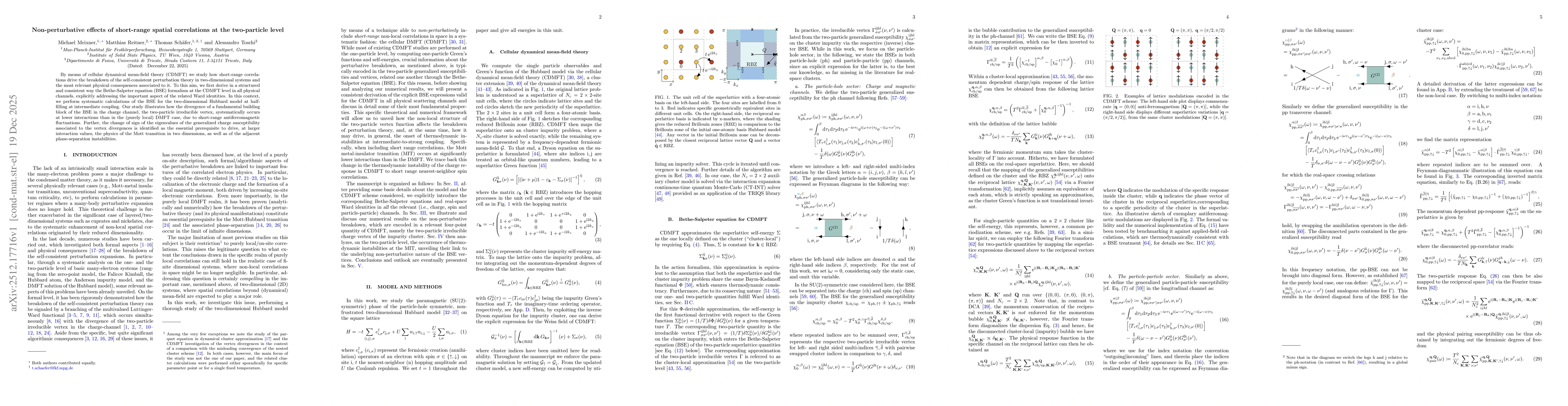 Thumbnail for Non-perturbative effects of short-range spatial correlations at the two-particle level