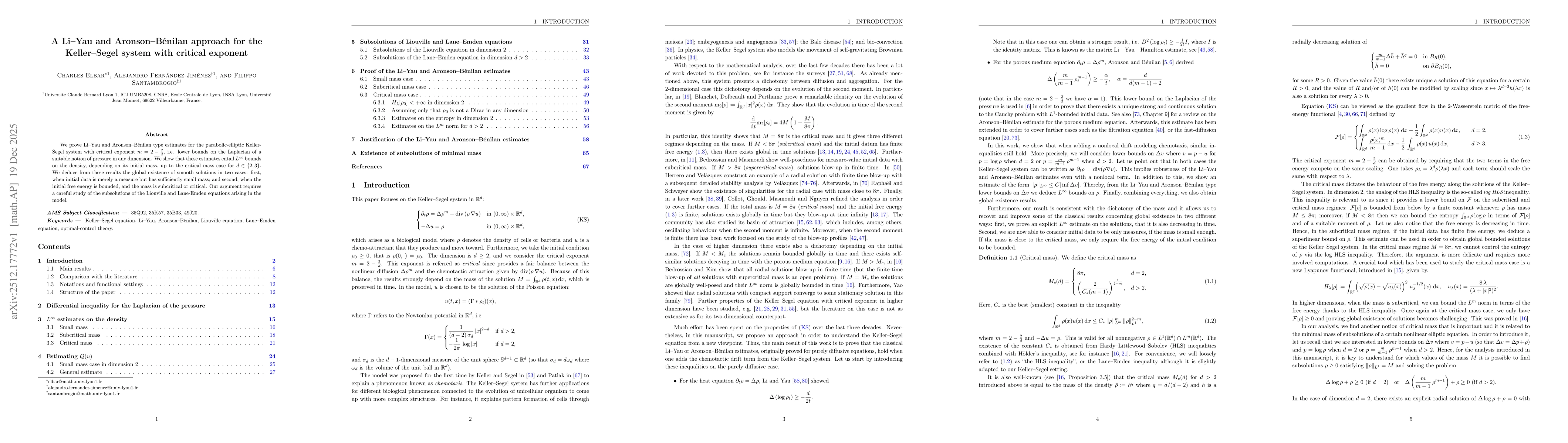 Thumbnail for A Li-Yau and Aronson-Bénilan approach for the Keller-Segel system with critical exponent