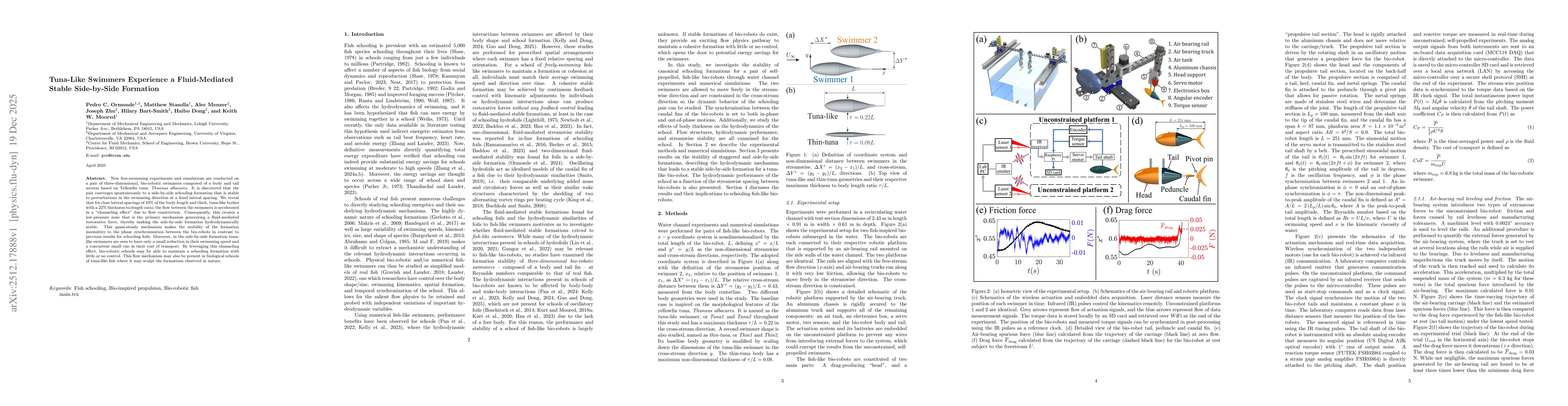 Thumbnail for Tuna-Like Swimmers Experience a Fluid-Mediated Stable Side-by-Side Formation