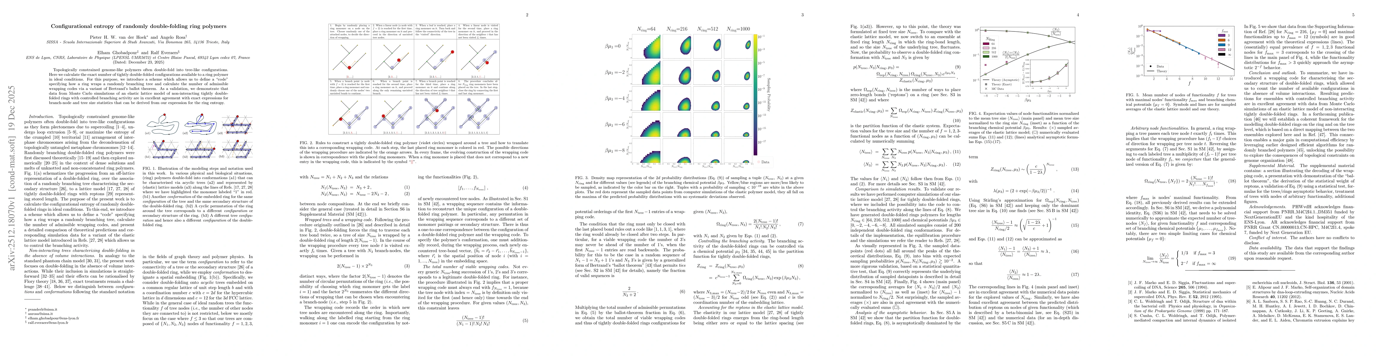 Thumbnail for Configurational entropy of randomly double-folding ring polymers