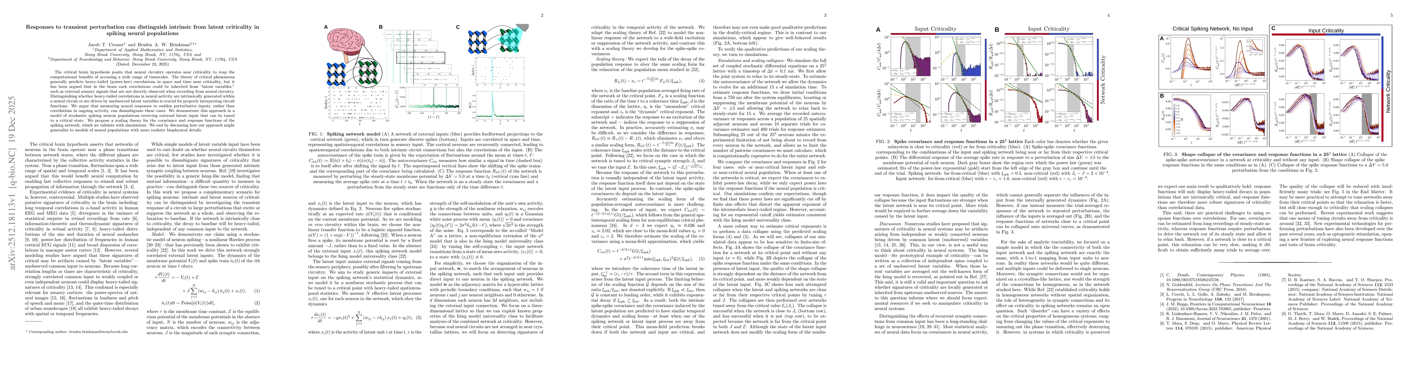 Thumbnail for Responses to transient perturbation can distinguish intrinsic from latent criticality in spiking neural populations