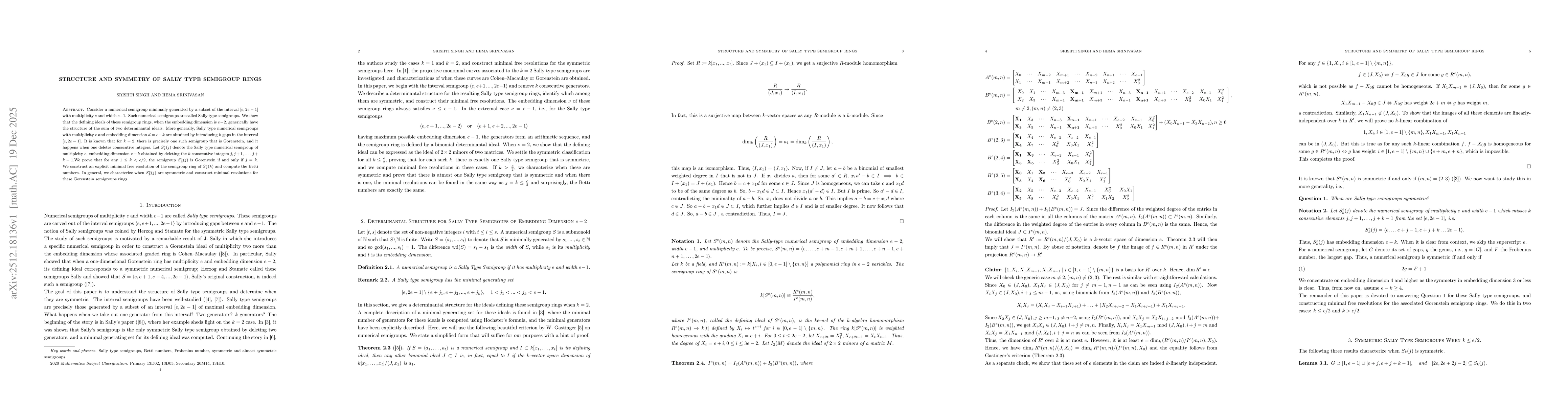 Thumbnail for Structure and Symmetry of Sally Type Semigroup Rings