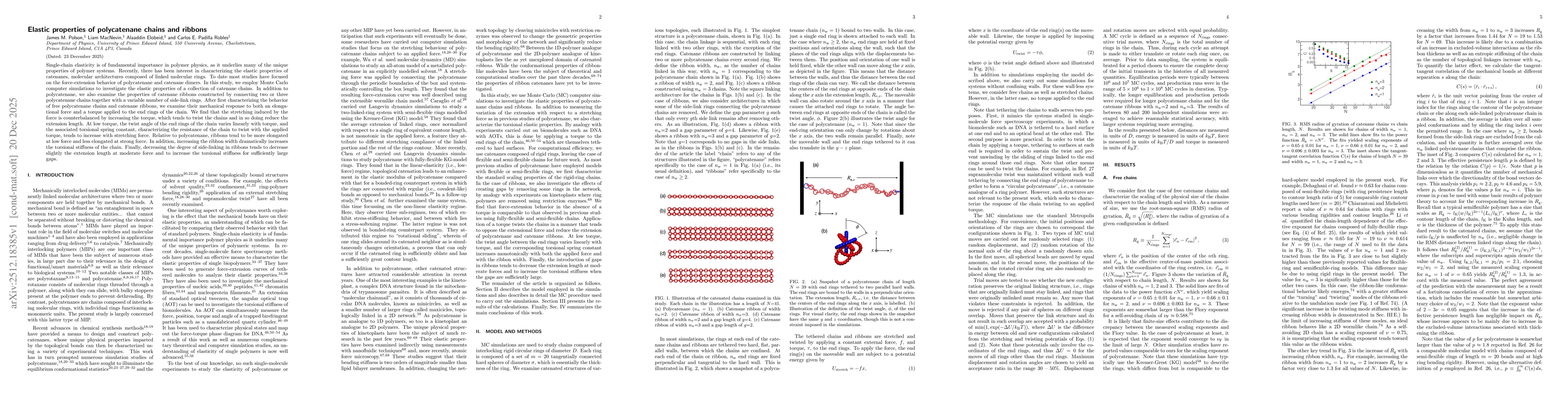 Thumbnail for Elastic properties of polycatenane chains and ribbons