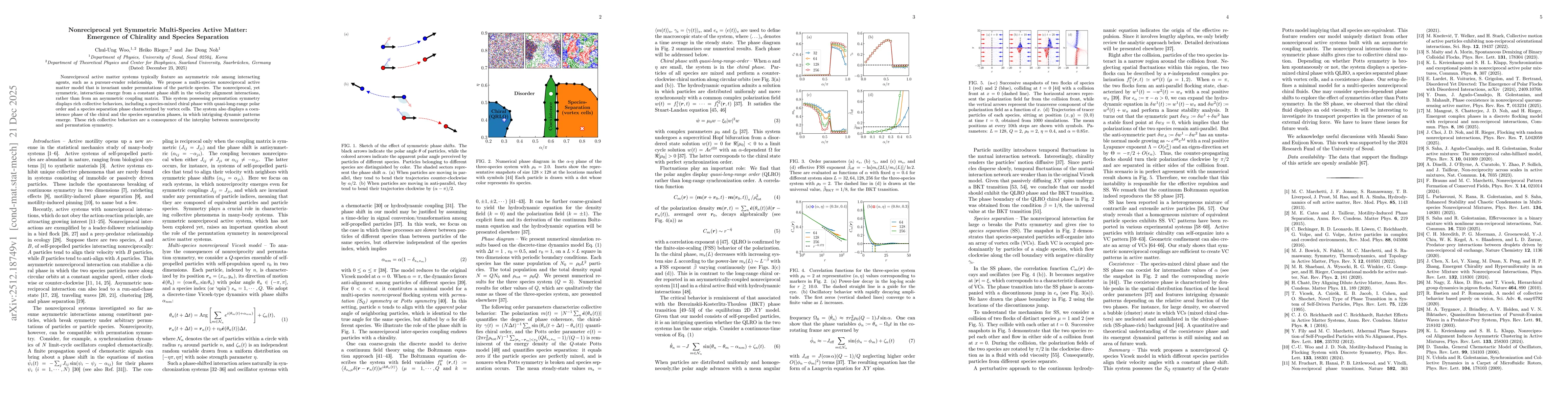 Thumbnail for Nonreciprocal yet Symmetric Multi-Species Active Matter: Emergence of Chirality and Species Separation