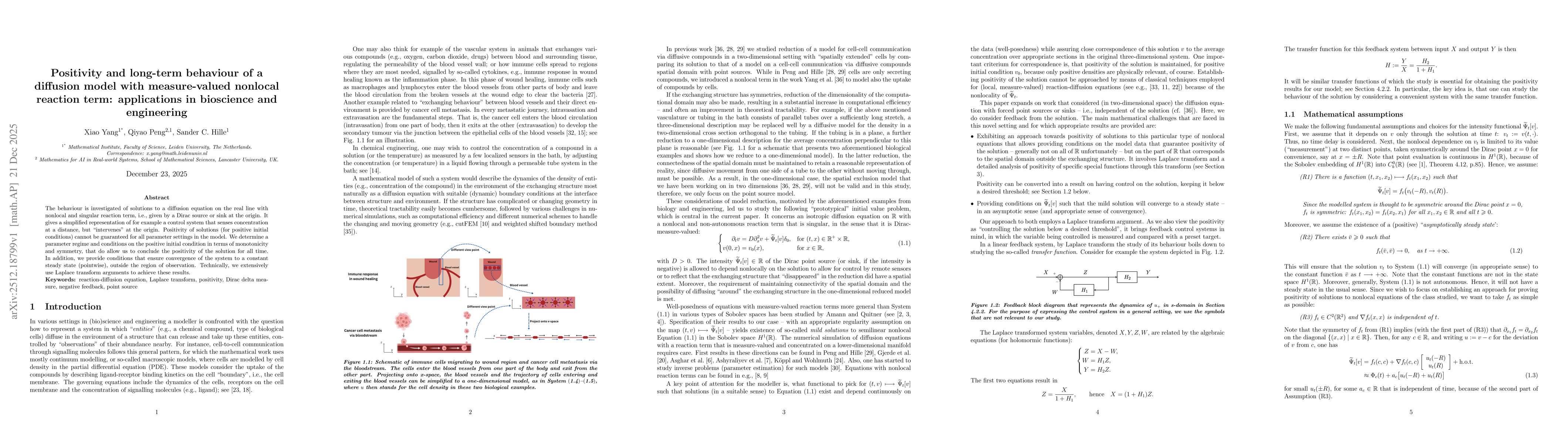 Thumbnail for Positivity and long-term behaviour of a diffusion model with measure-valued nonlocal reaction term