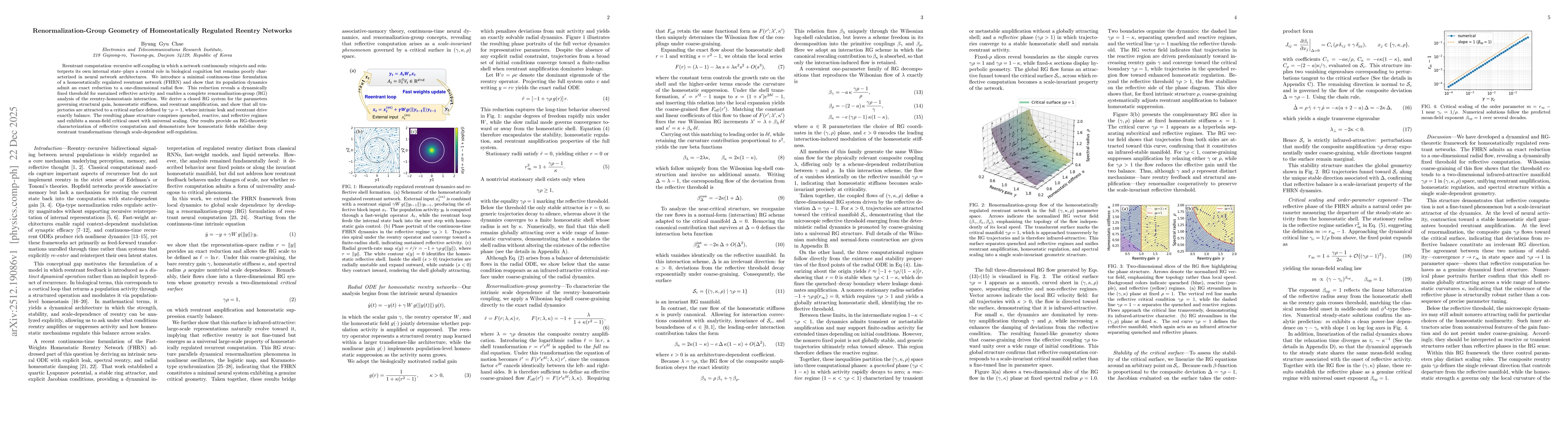 Thumbnail for Renormalization-Group Geometry of Homeostatically Regulated Reentry Networks