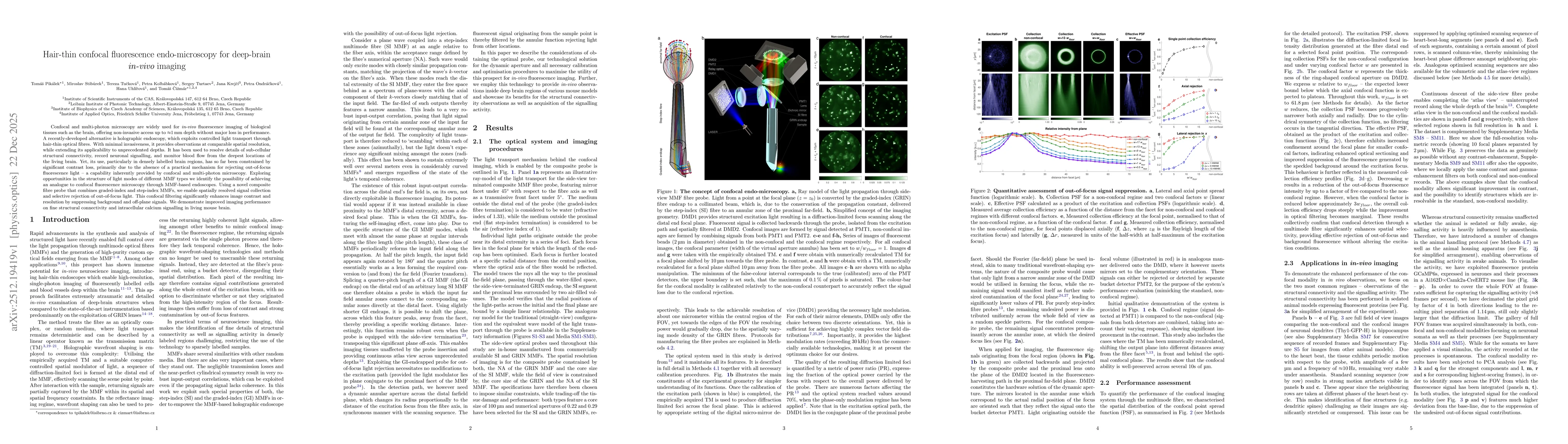 Thumbnail for Hair-thin confocal fluorescence endo-microscopy for deep-brain in-vivo imaging