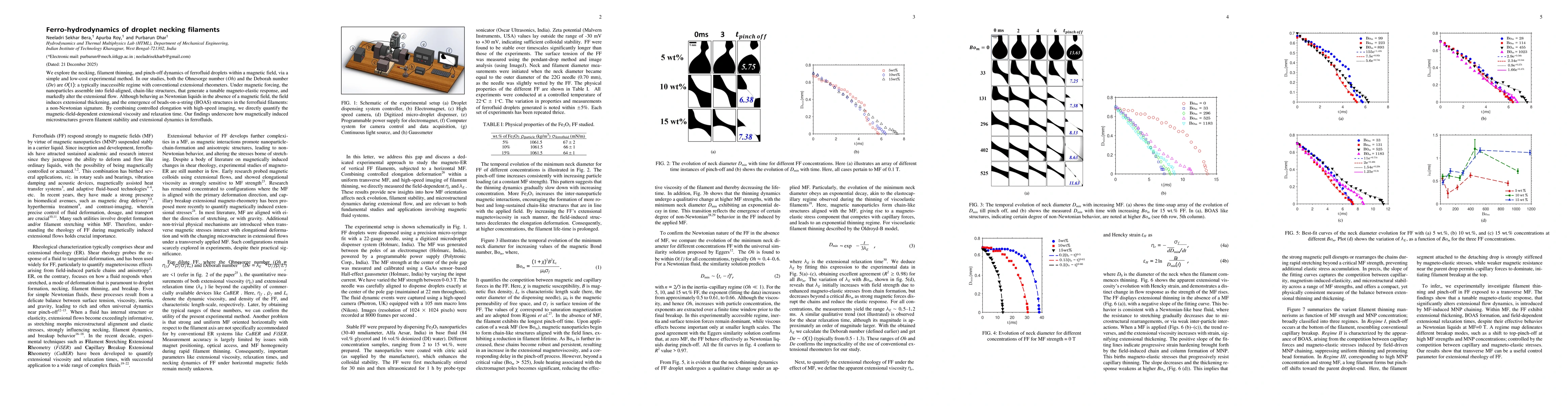 Thumbnail for Ferro-hydrodynamics of droplet necking filaments