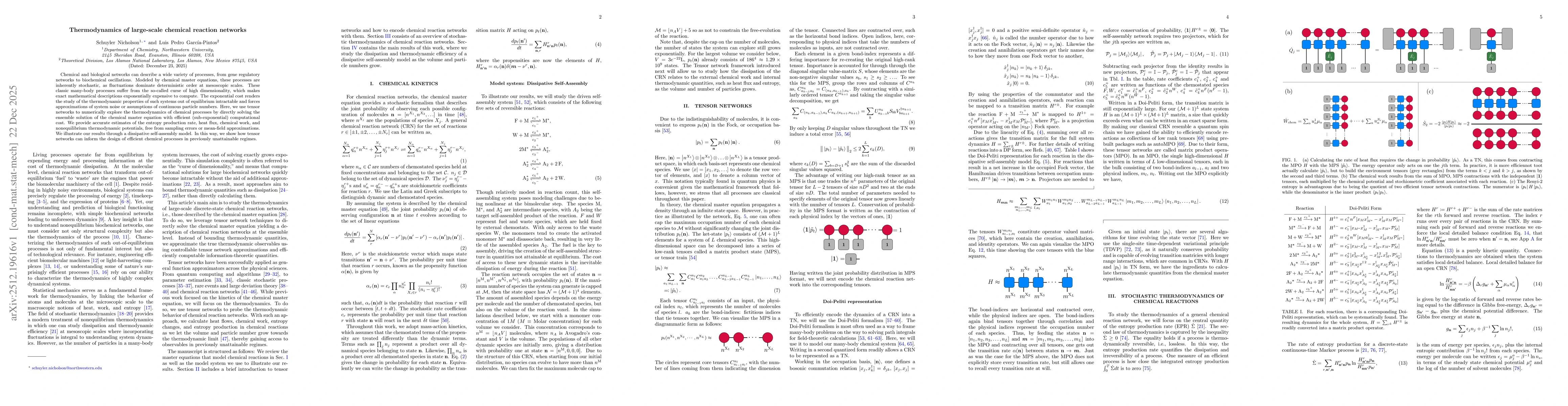 Thumbnail for Thermodynamics of large-scale chemical reaction networks