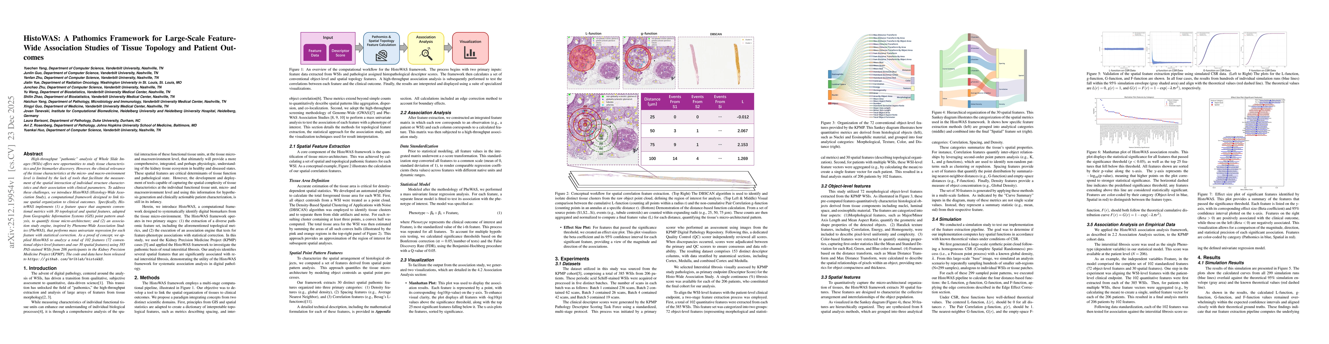 Thumbnail for HistoWAS: A Pathomics Framework for Large-Scale Feature-Wide Association Studies of Tissue Topology and Patient Outcomes