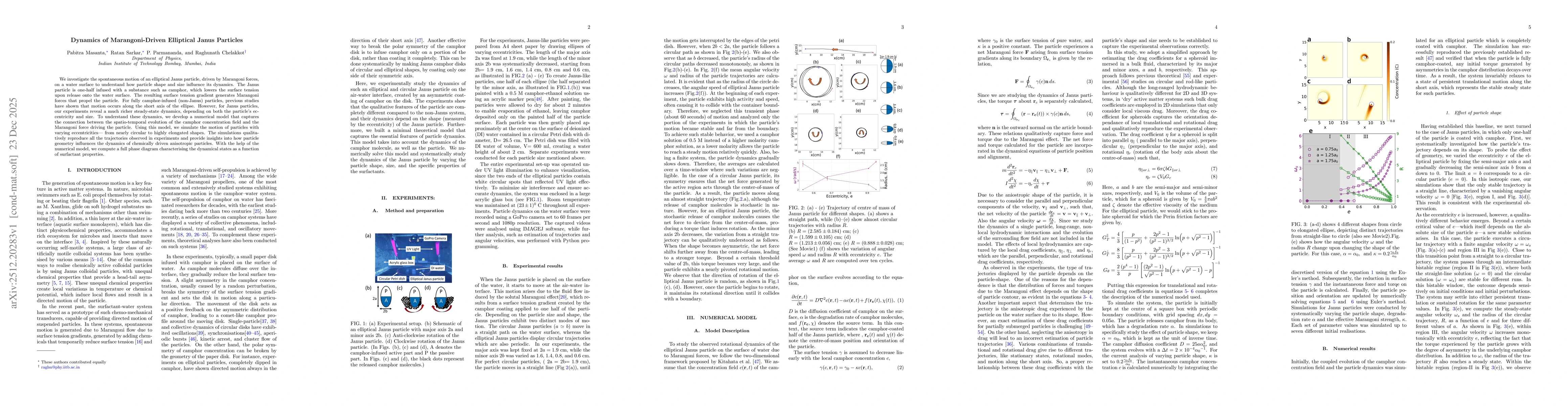 Thumbnail for Dynamics of Marangoni-Driven Elliptical Janus Particles