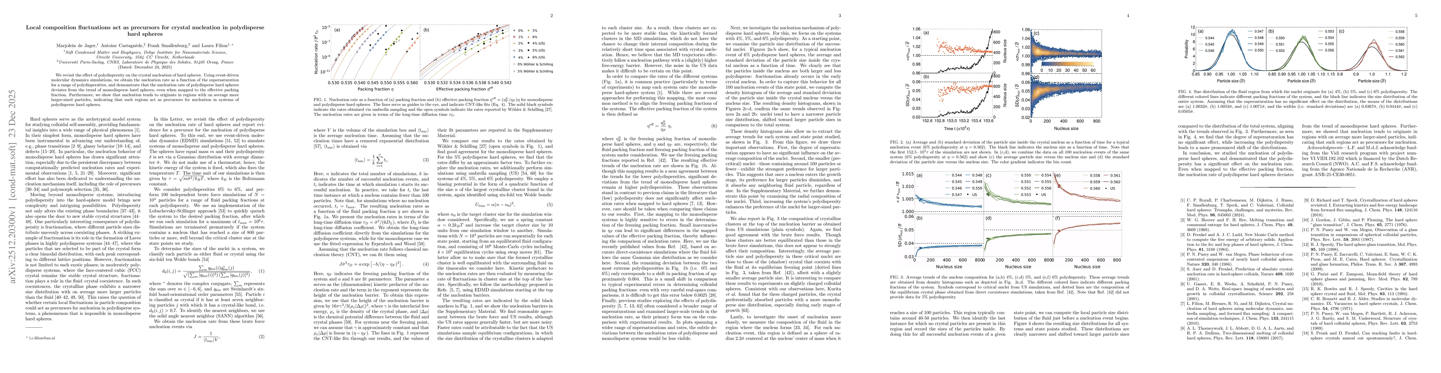 Thumbnail for Local composition fluctuations act as precursors for crystal nucleation in polydisperse hard spheres