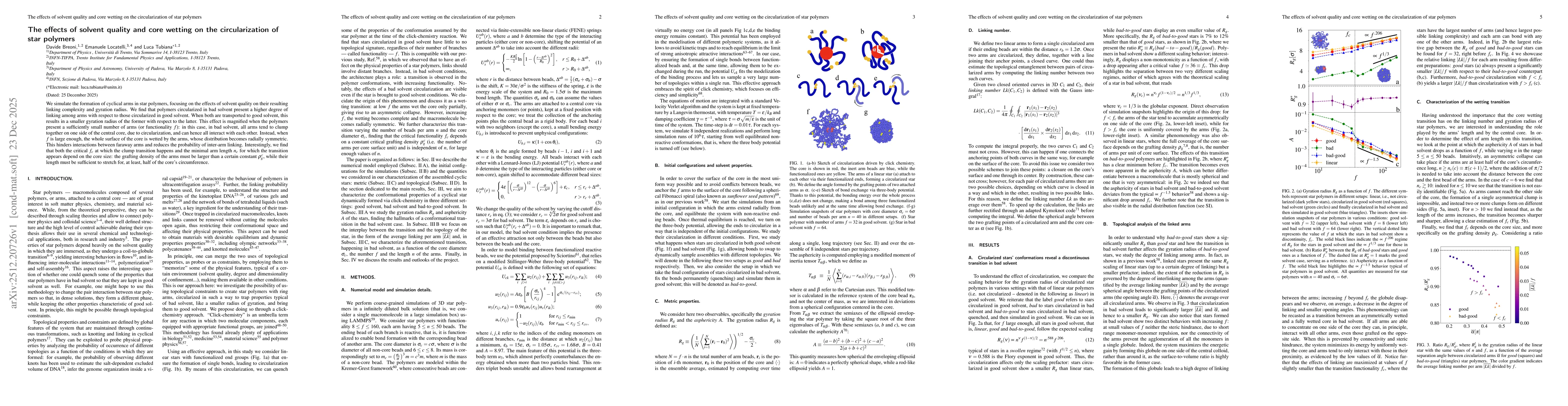 Thumbnail for The effects of solvent quality and core wetting on the circularization of star polymers