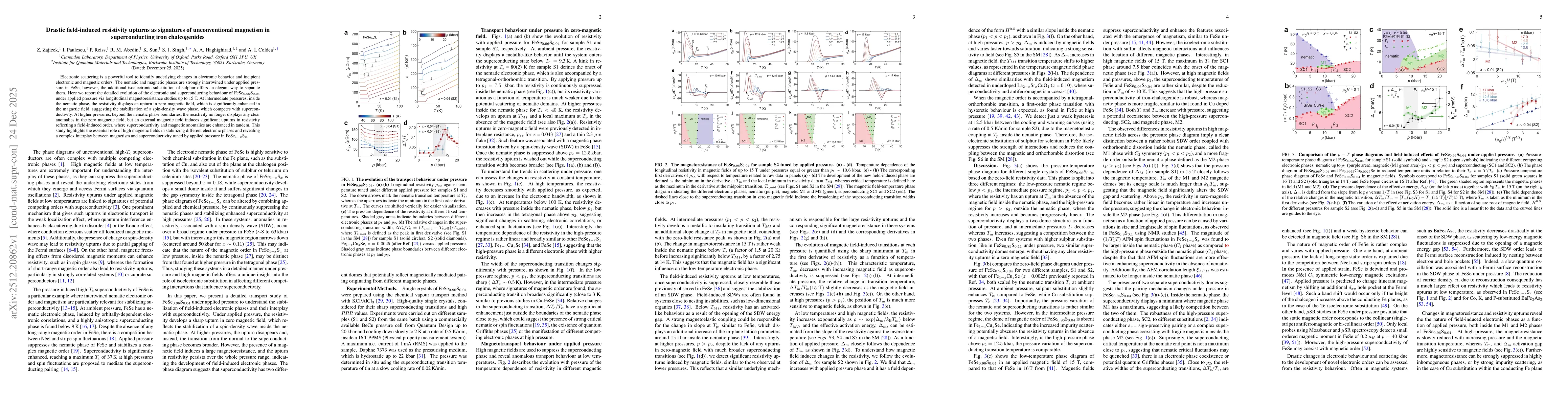 Thumbnail for Drastic field-induced resistivity upturns as signatures of unconventional magnetism in superconducting iron chalcogenides