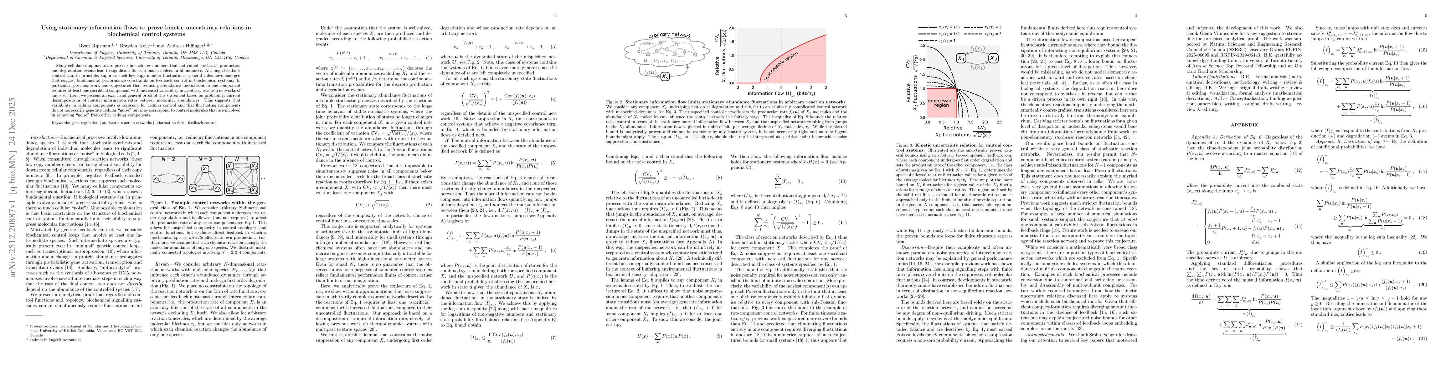 Thumbnail for Using stationary information flows to prove kinetic uncertainty relations in biochemical control systems