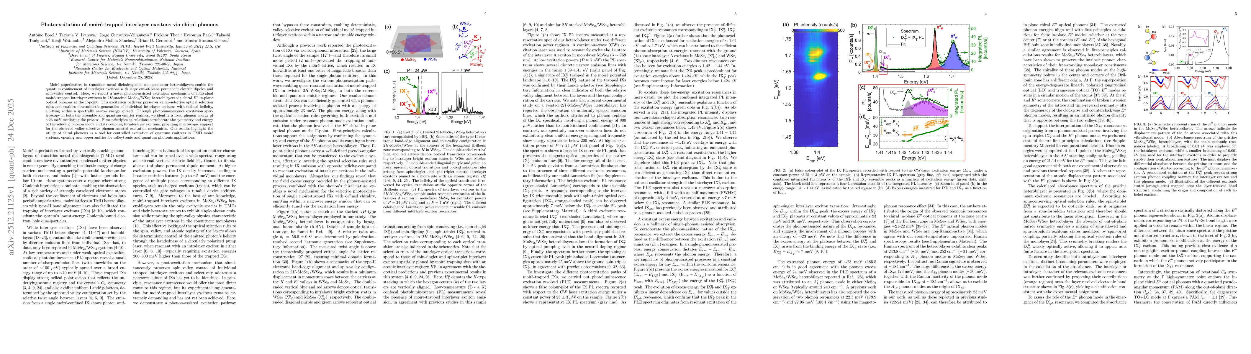 Thumbnail for Photoexcitation of moiré-trapped interlayer excitons via chiral phonons