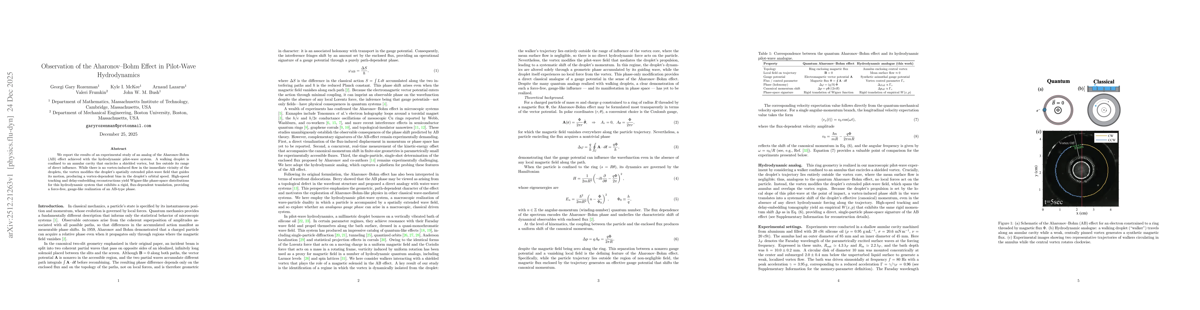 Thumbnail for Observation of the Aharonov-Bohm Effect in Pilot-Wave Hydrodynamics