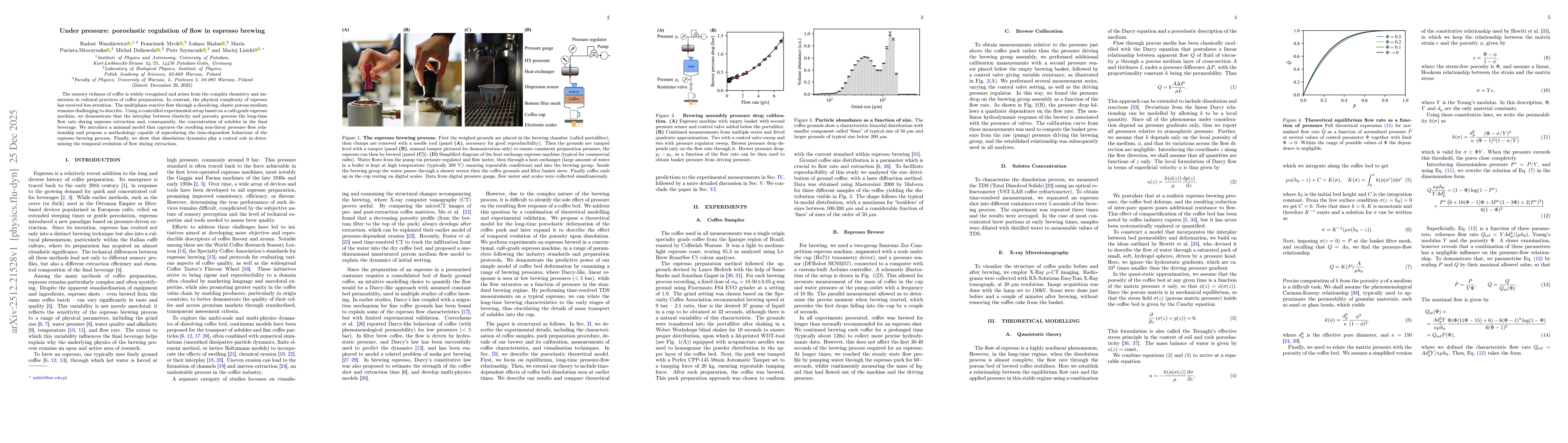 Thumbnail for Under pressure: poroelastic regulation of flow in espresso brewing