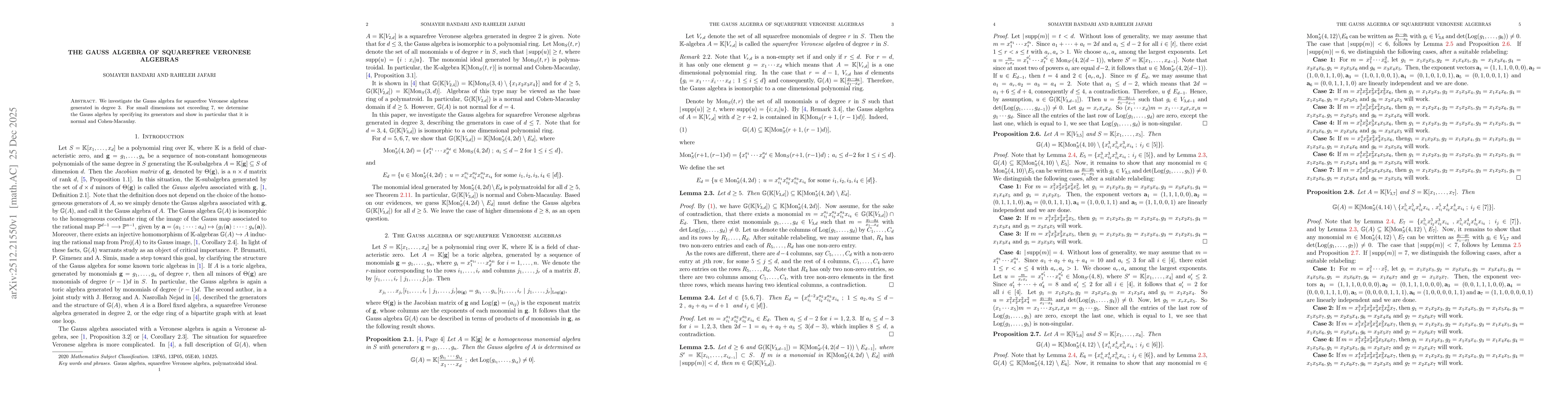 Thumbnail for The Gauss Algebra of squarefree Veronese algebras