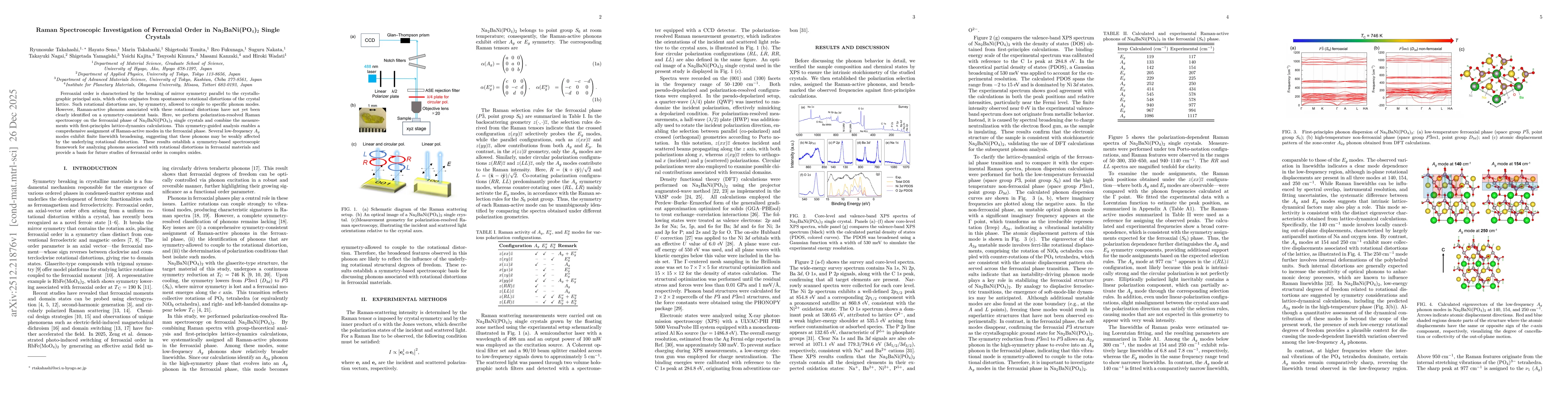 Thumbnail for Raman Spectroscopic Investigation of Ferroaxial Order in Na2BaNi(PO4)2 Single Crystals