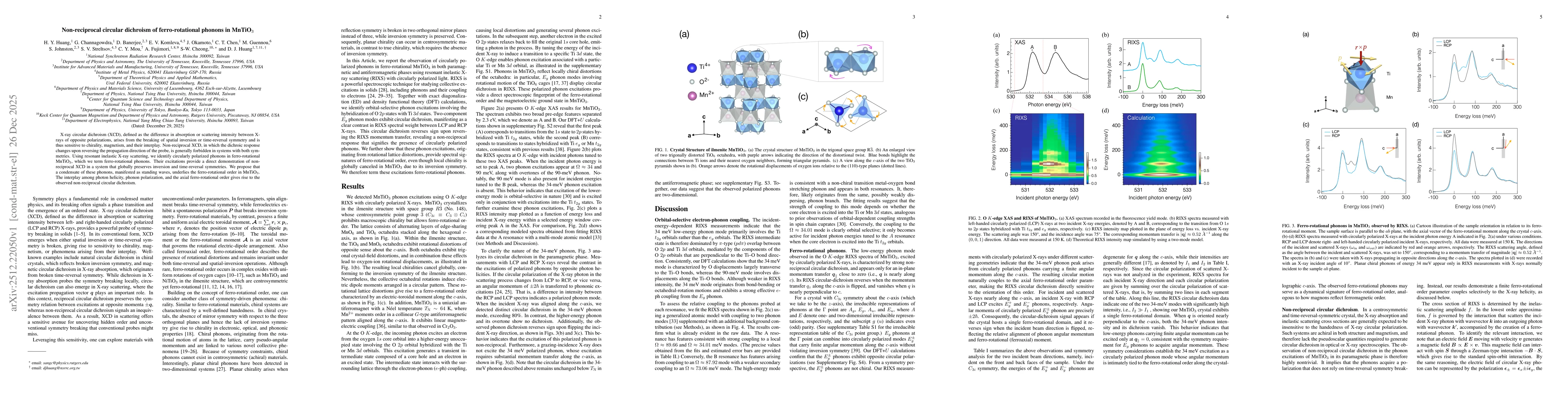 Thumbnail for Non-reciprocal circular dichroism of ferro-rotational phonons in MnTiO$_{3}$