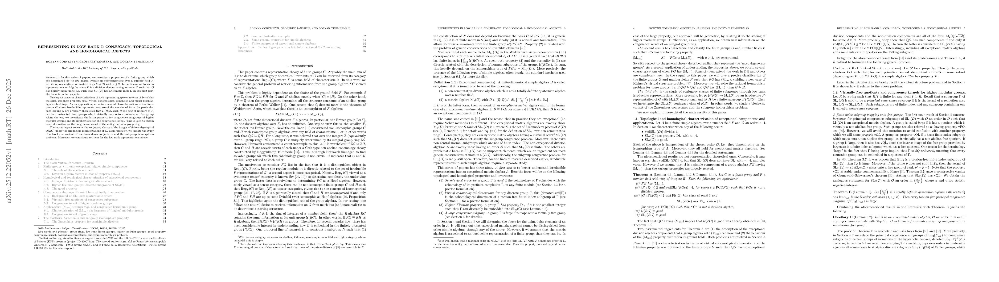 Thumbnail for Representing in Low Rank I: conjugacy, topological and homological aspects