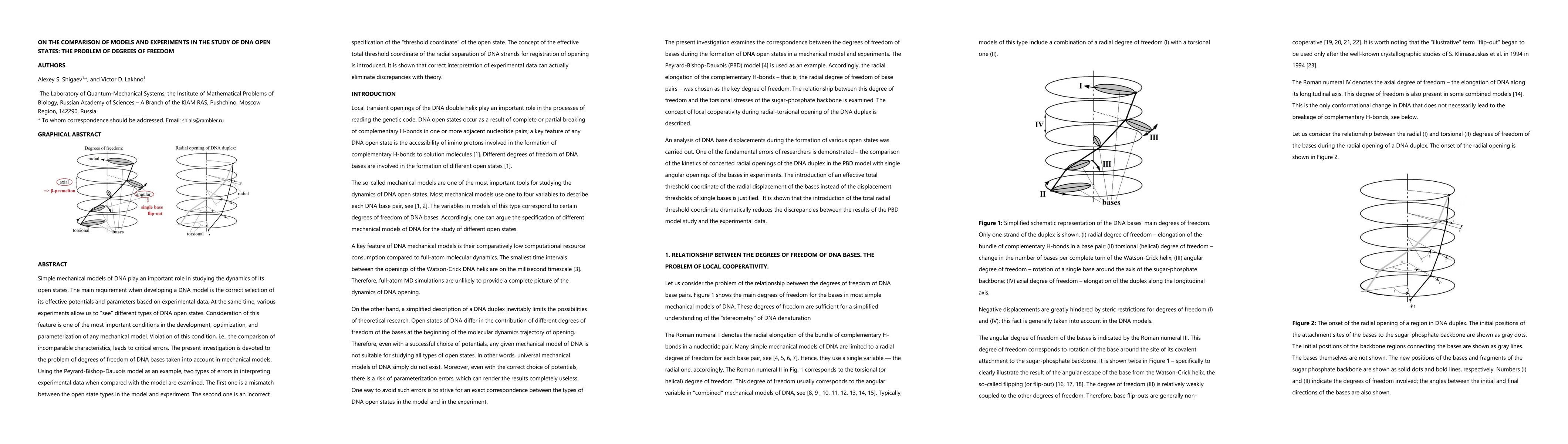 Thumbnail for On the comparison of models and experiments in the study of DNA open states: the problem of degrees of freedom