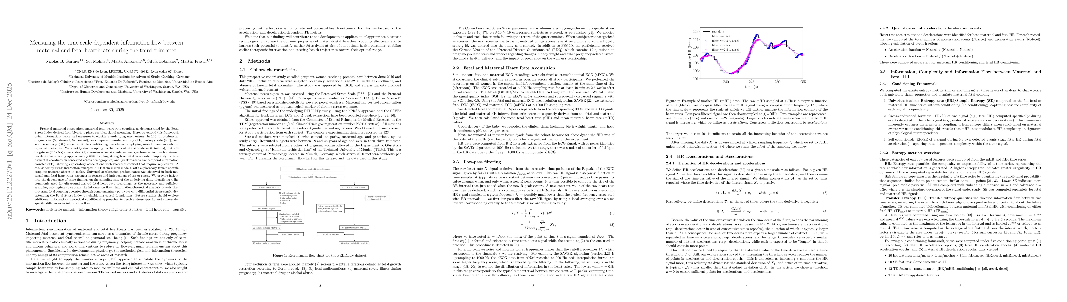 Thumbnail for Measuring the time-scale-dependent information flow between maternal and fetal heartbeats during the third trimester