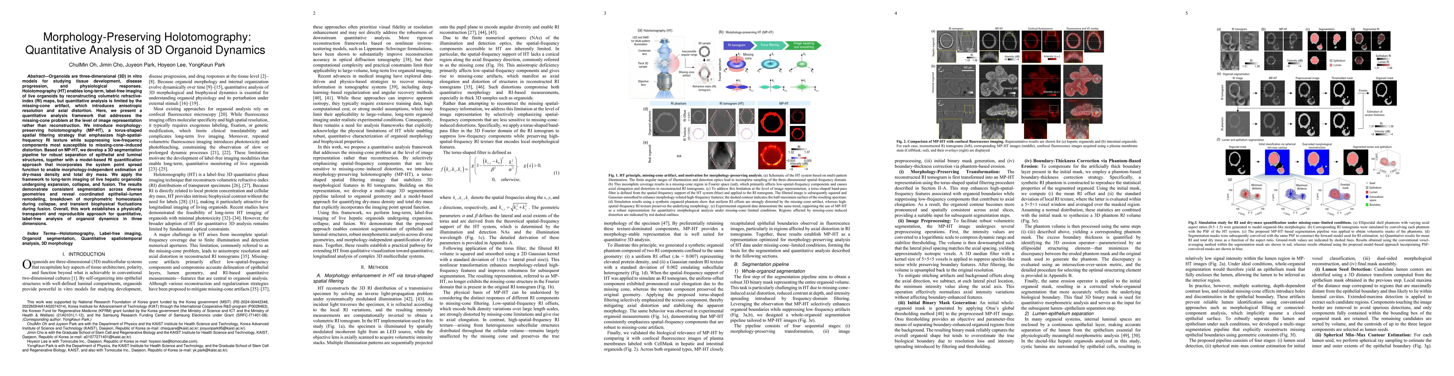 Thumbnail for Morphology-Preserving Holotomography: Quantitative Analysis of 3D Organoid Dynamics