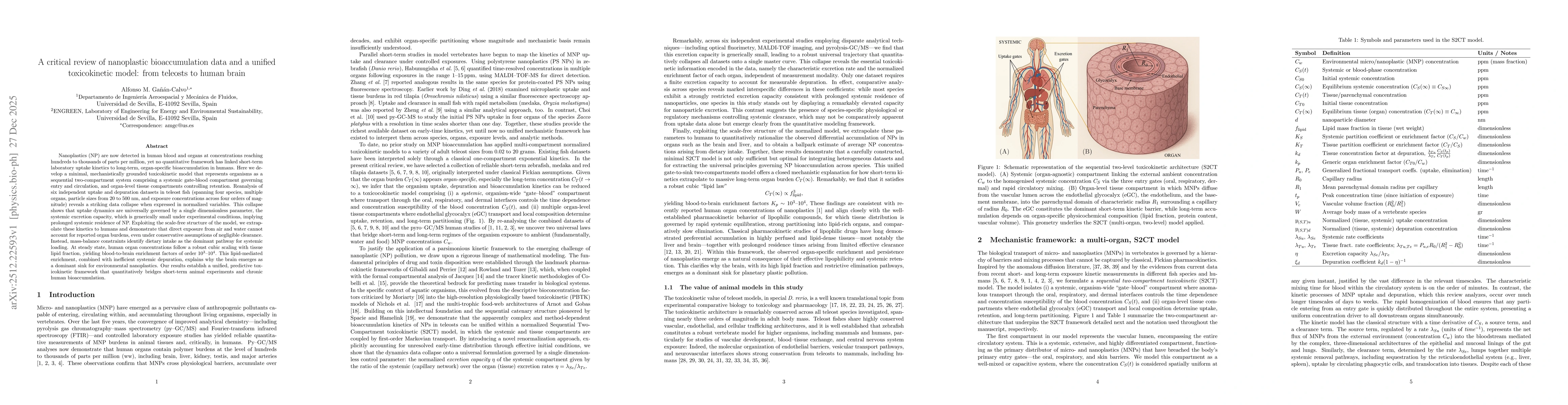 Thumbnail for A critical review of nanoplastic bioaccumulation data and a unified toxicokinetic model: from teleosts to human brain