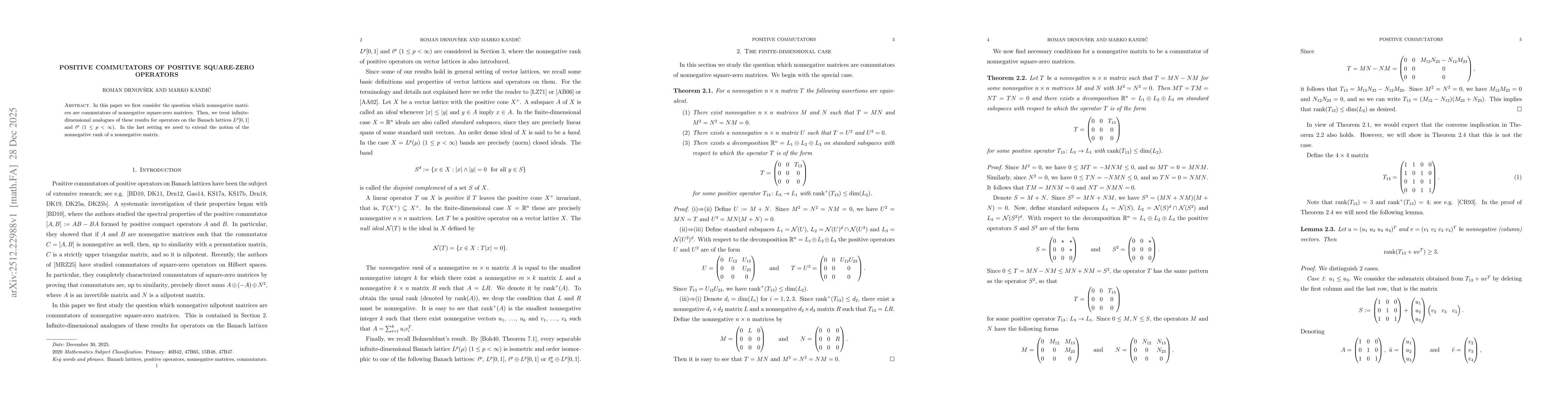Thumbnail for Positive commutators of positive square-zero operators