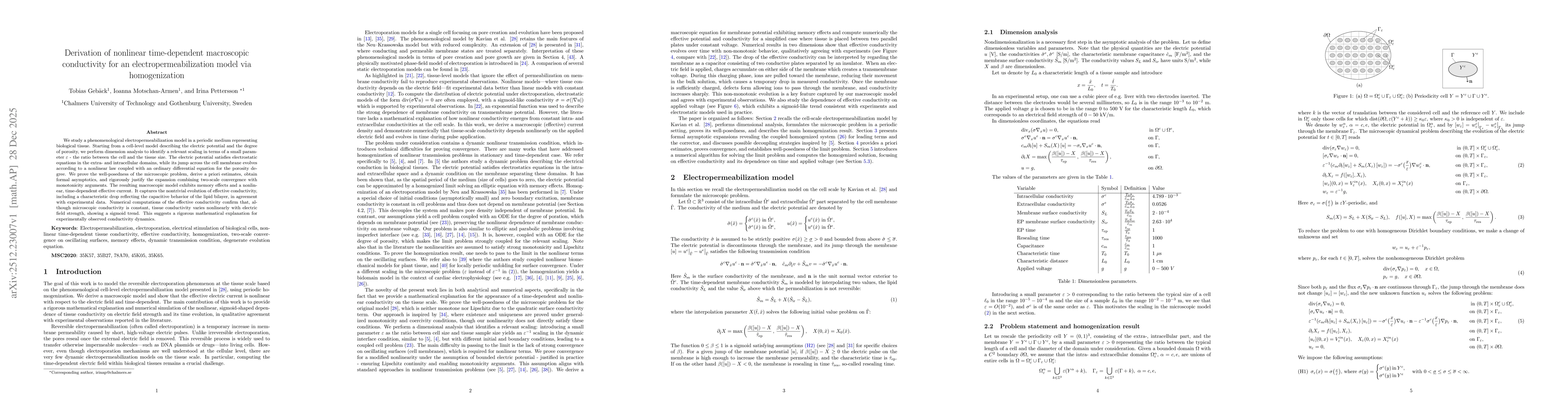 Thumbnail for Derivation of nonlinear time-dependent macroscopic conductivity for an electropermeabilization model via homogenization